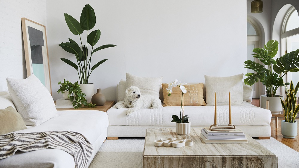 Modern Faux Potted Plants in Living Room