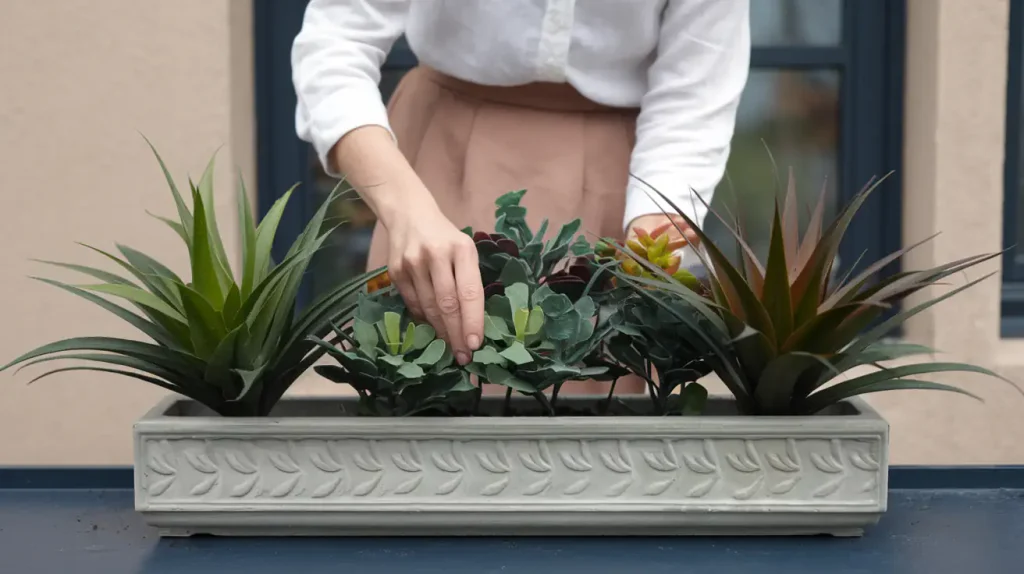 Care Tips Fake Succulents