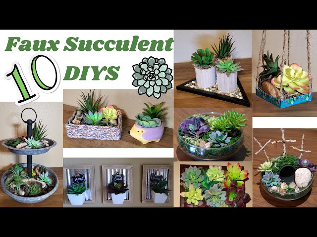 customer experience faux succulents retail