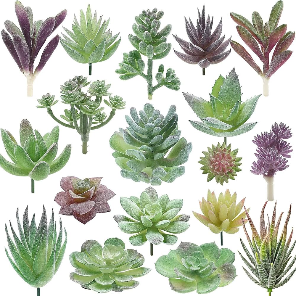 best fake succulent varieties