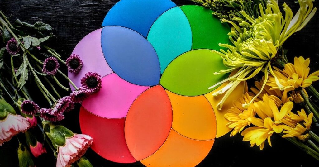 color wheel next to complementary faux blooms