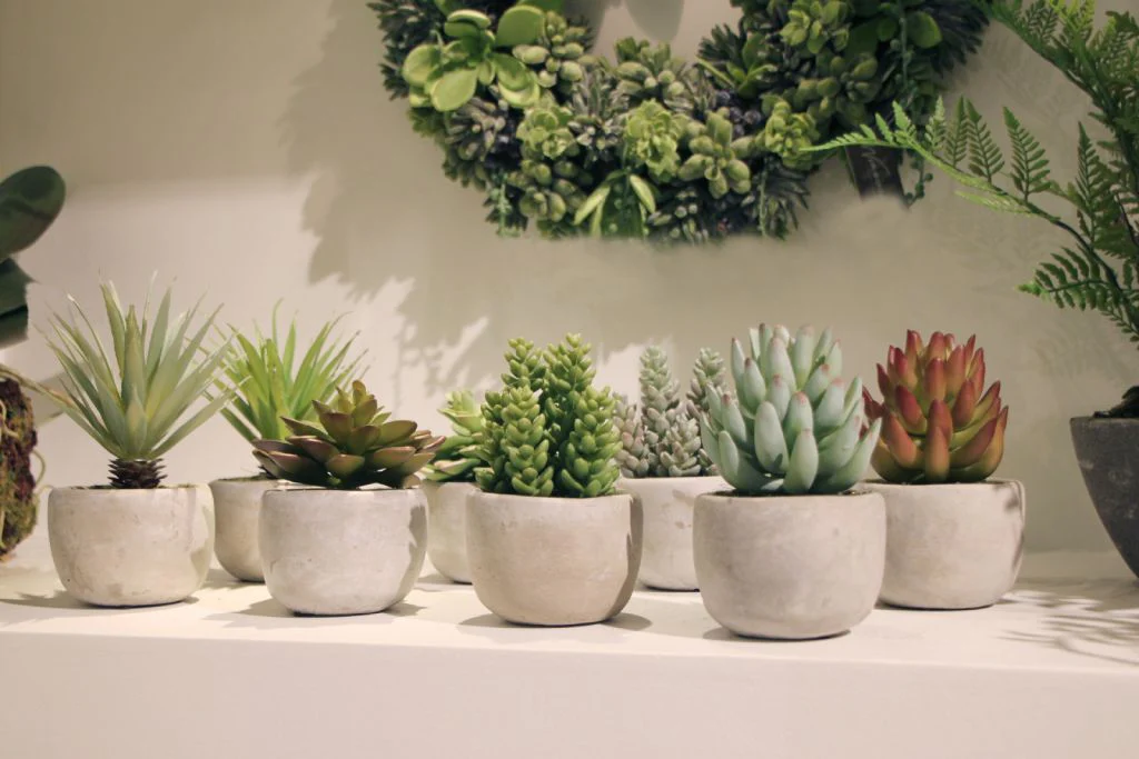 spa-style faux succulent arrangement for bathroom