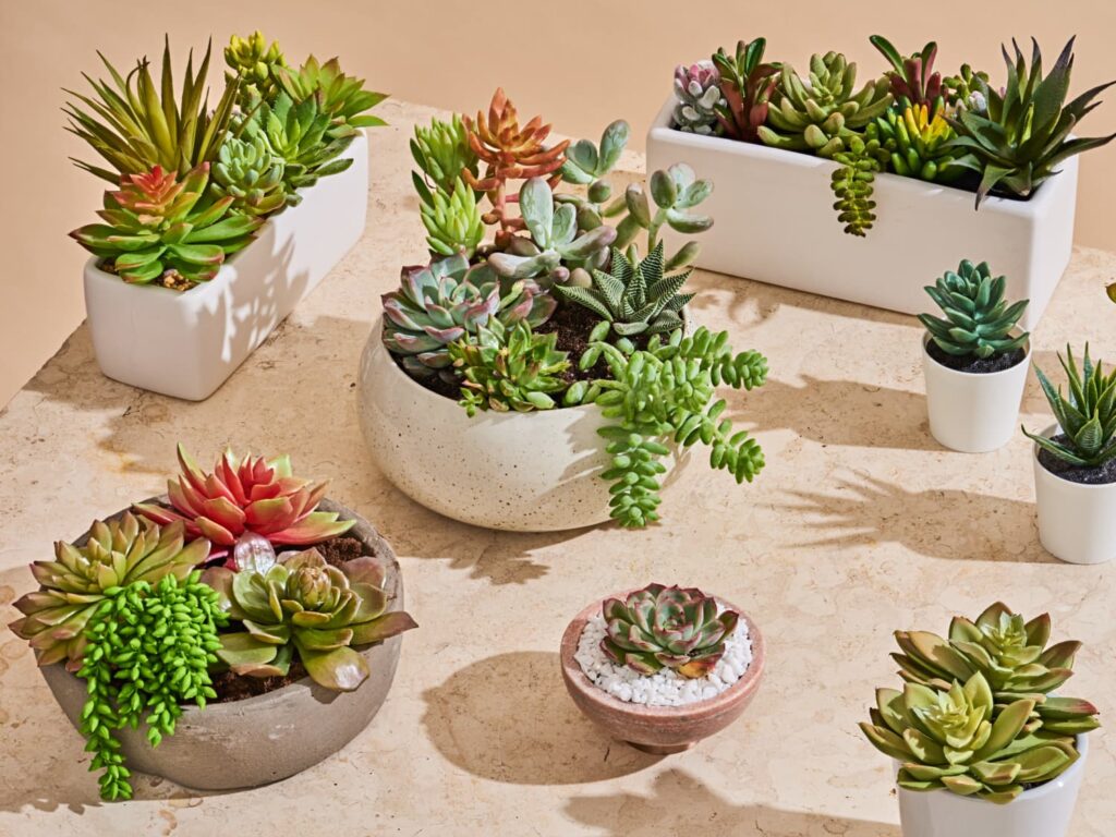 fake succulent plants modern decor