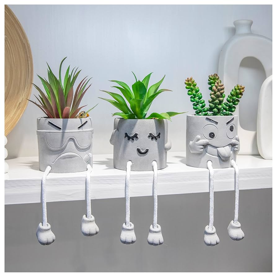 interior designer faux succulent testimonial