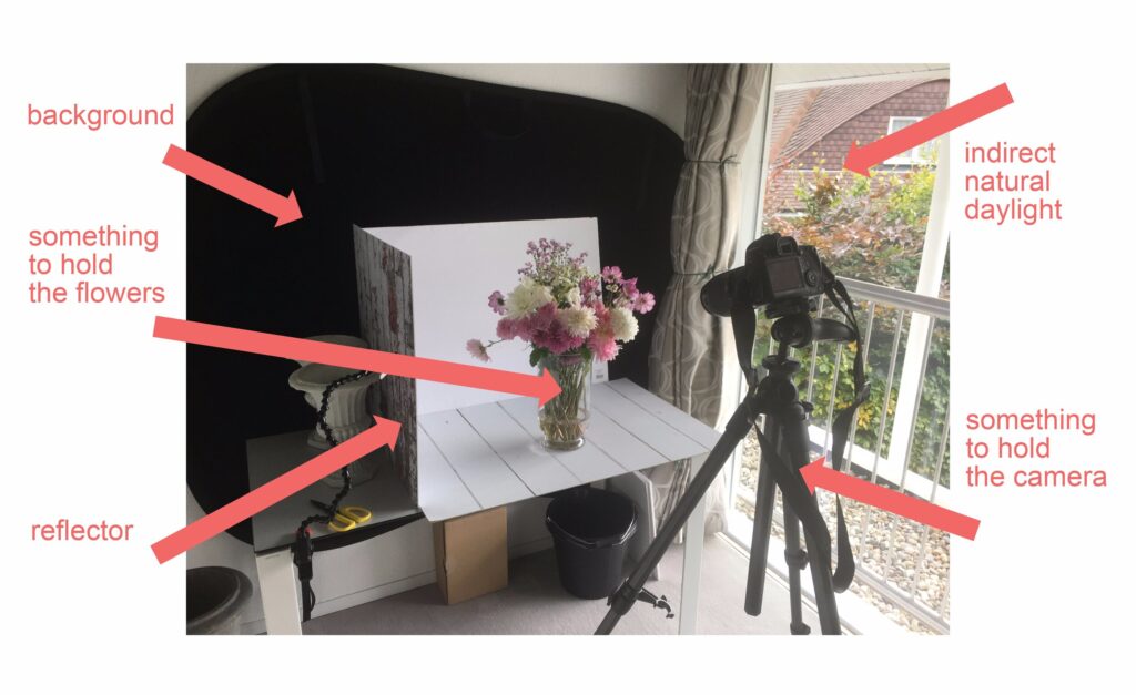 soft light studio setup for faux flower shoot