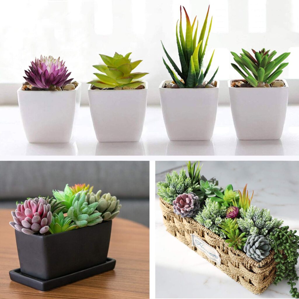where to buy faux succulent plants