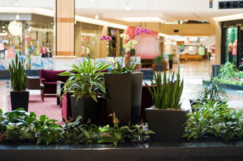 Durability of Artificial Flowers vs Faux Plants
