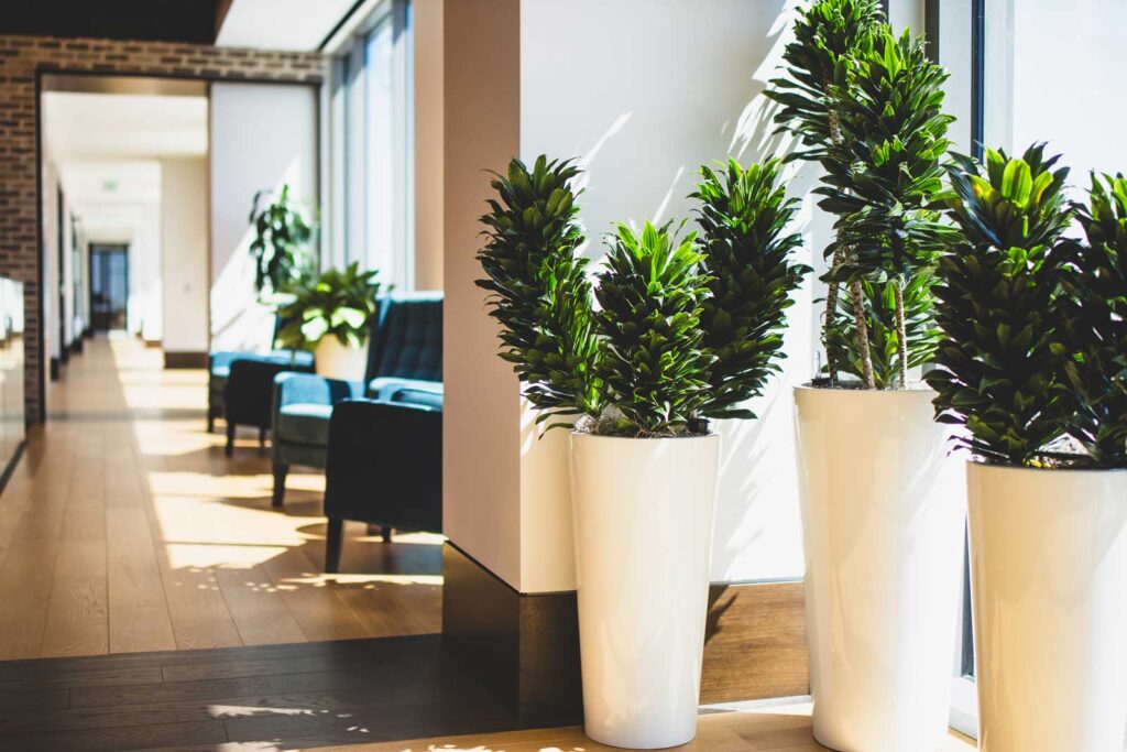 Faux Plants for Business Interiors