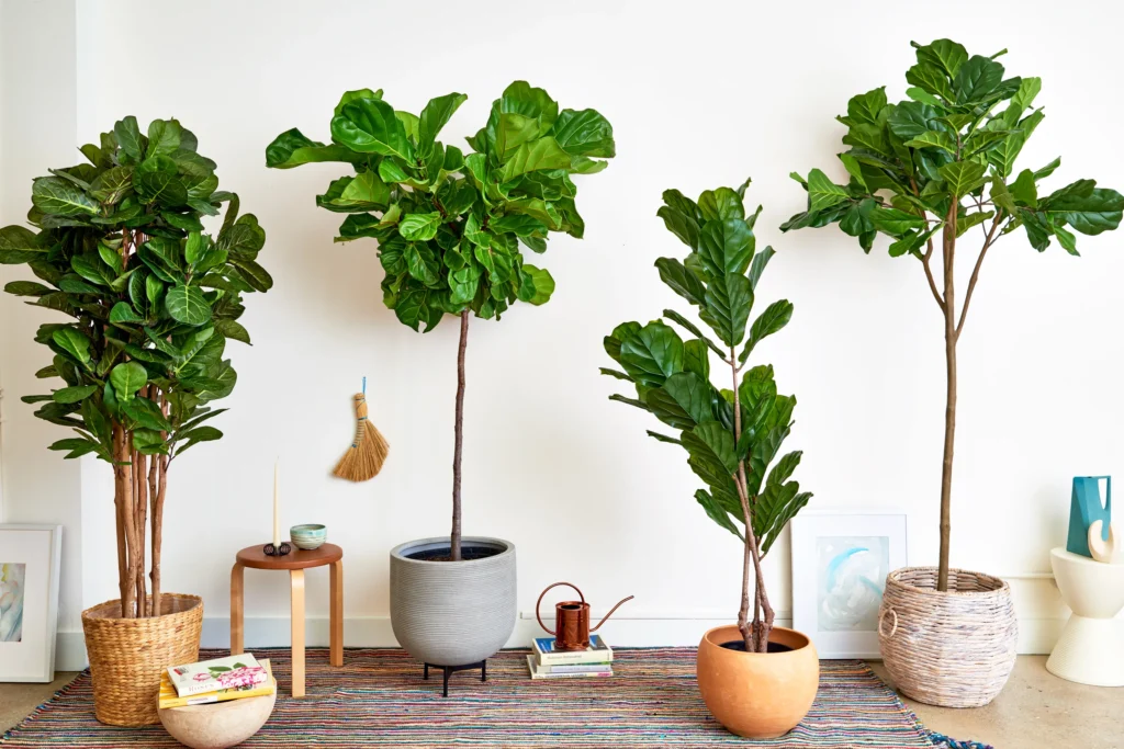 Faux plant styles for rentals