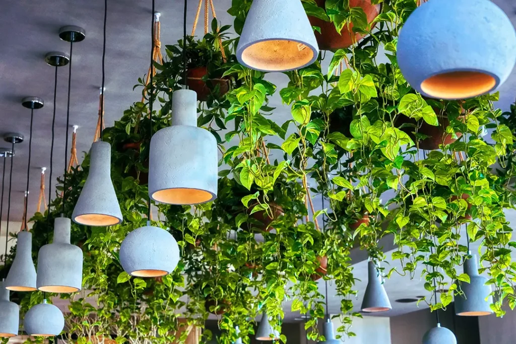 Real B2B Case Studies Using Faux Plants