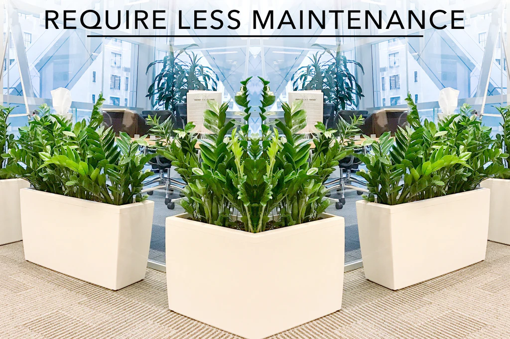 Why Businesses Choose Faux Plants