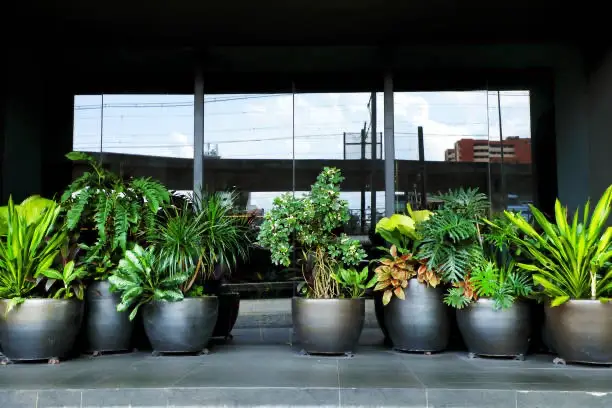 eco-certified UV artificial plants for sustainable businesses