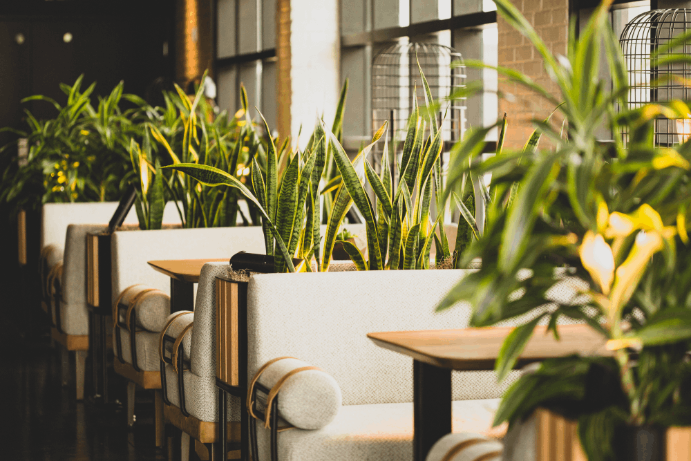 Synthetic Plants in Hotels and Retail