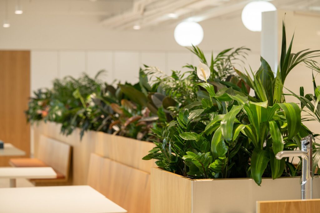 wholesale UV artificial plants for hotels and retail buyers