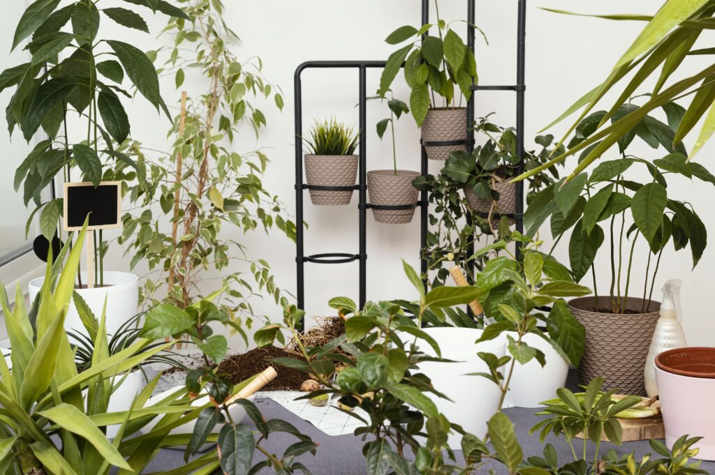 Best Artificial Plant Dubai Installation Secure