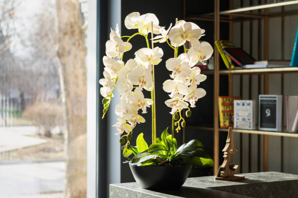 Can You Wash Artificial Flowers: Maintaining Display Stock