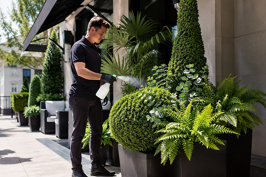 Artificial plants protected from outdoor fading with UV resistant care