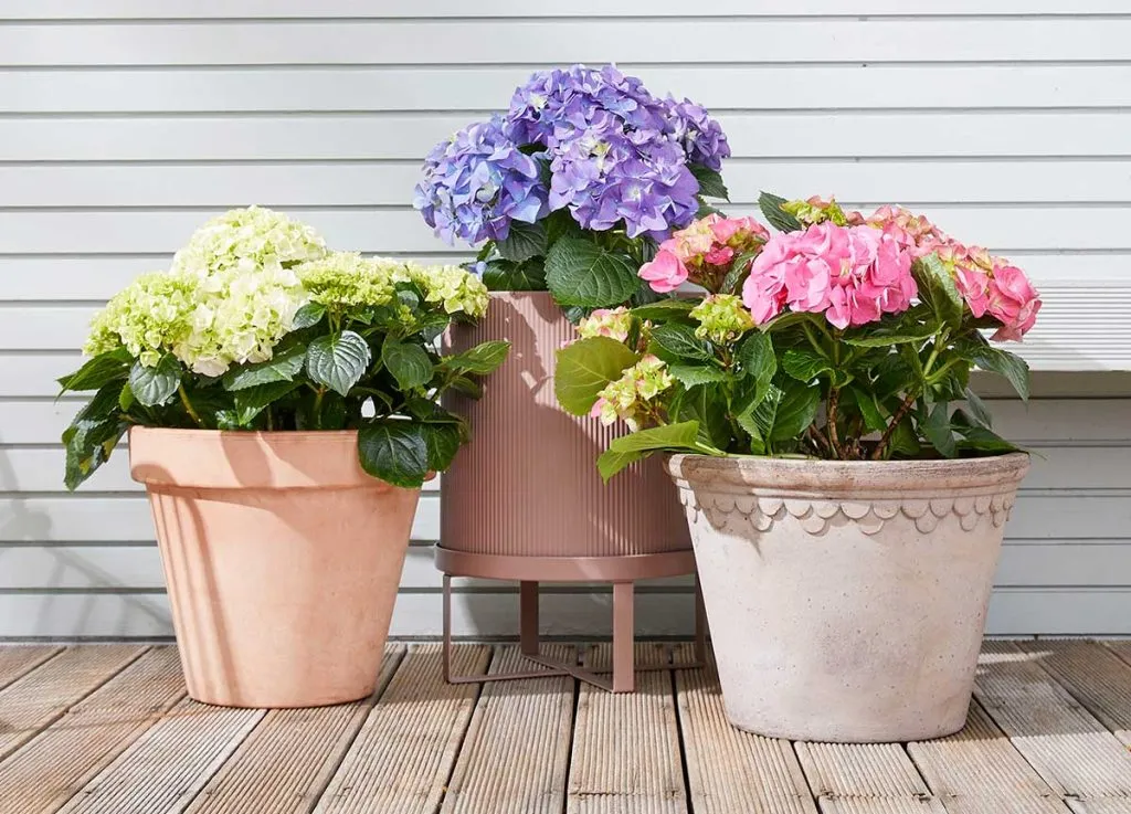 Outdoor Artificial Plants UV Protected warranty and SLA