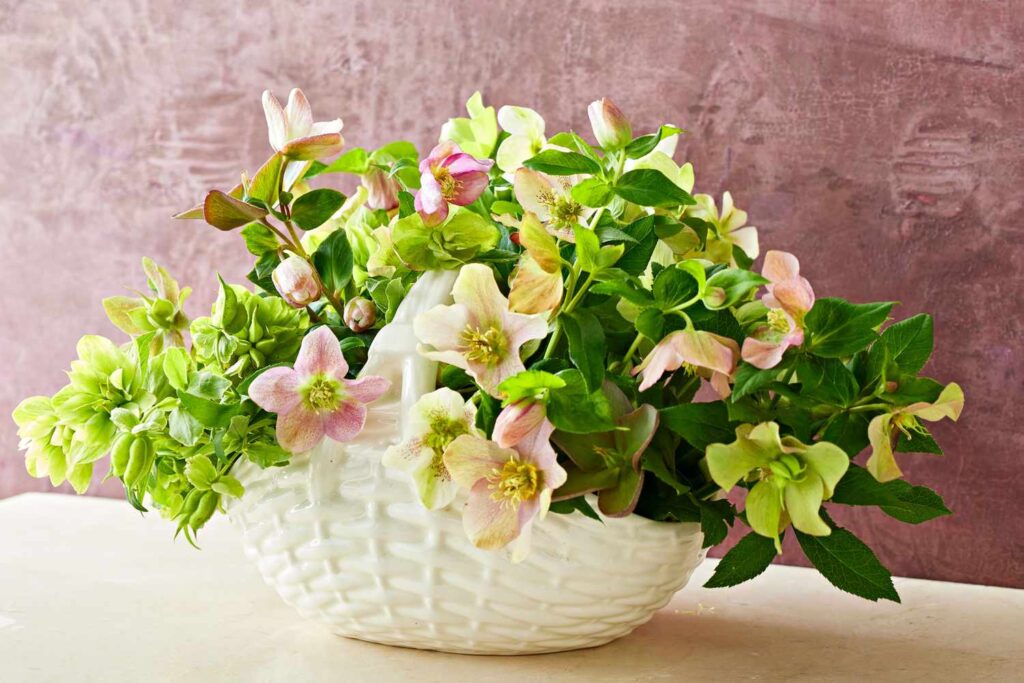 rotate floral displays schedule