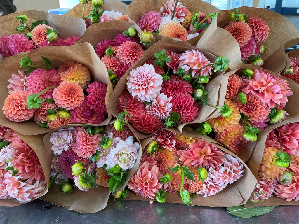 silk flowers wholesale MOQ and forecasting