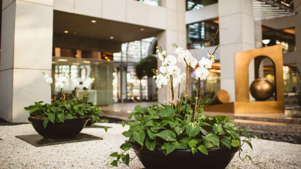 why outdoor hotel plants drive roi hospitality case valet lobby