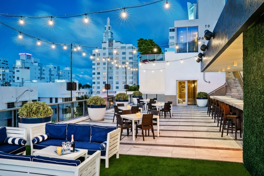 best outdoor artificial plants for full sun on a hotel rooftop