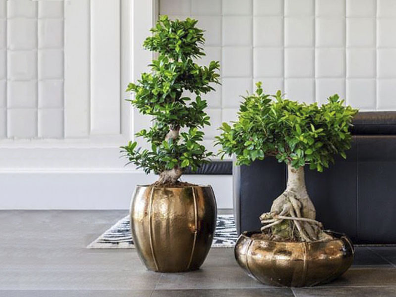 hs code artificial plants suppliers in dubai hs code for artificial plants in dubai