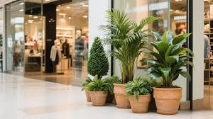 artificial plant cleanliness retail store