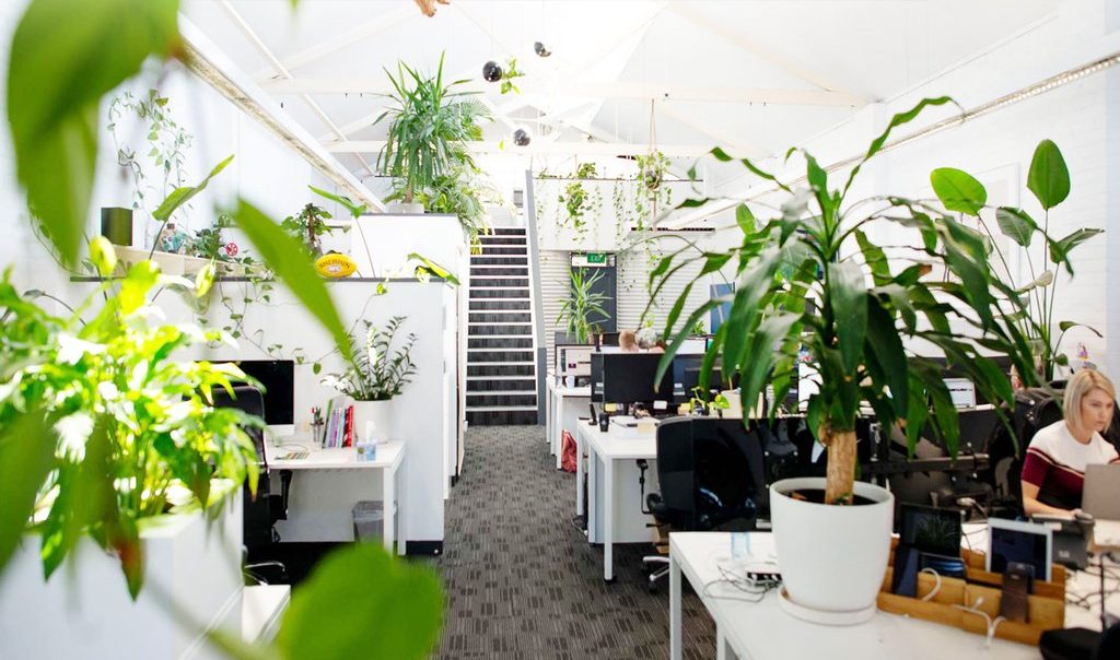 operations risk artificial plants vs real plants