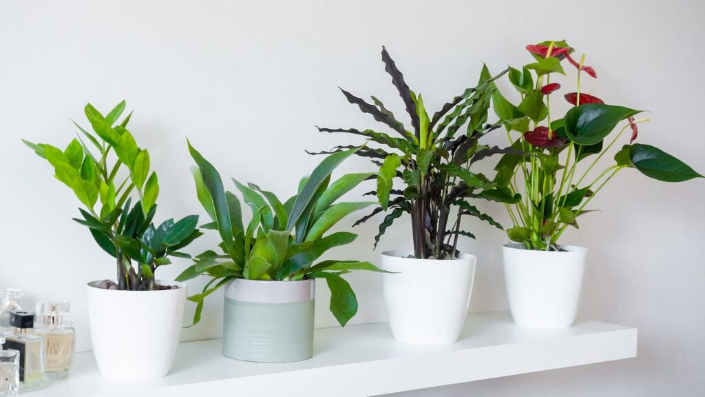 mix real and artificial plants design