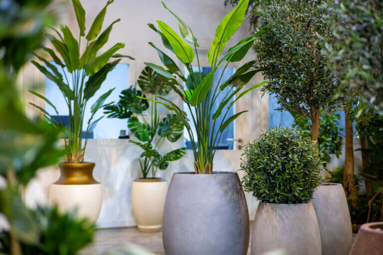 quality control arrival artificial plants suppliers in dubai quality control artificial plants dubai