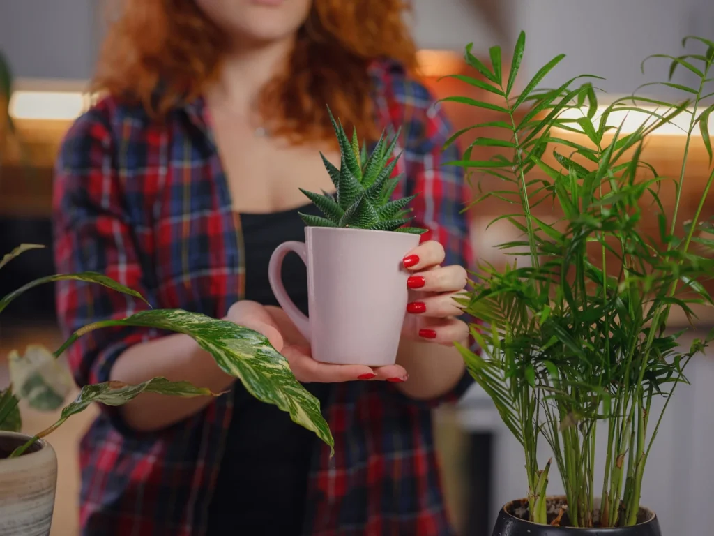 Verification workflow for faux plants certifications across REACH, UV, and NFPA 701