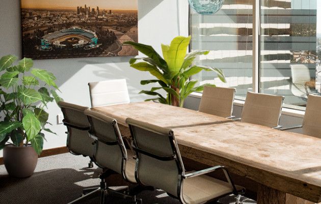 Best looking fake plants for offices and meeting rooms