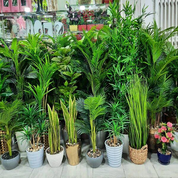 Supplier quality checks for best looking fake plants