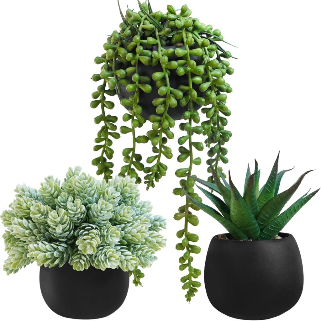 artificial succulent plants