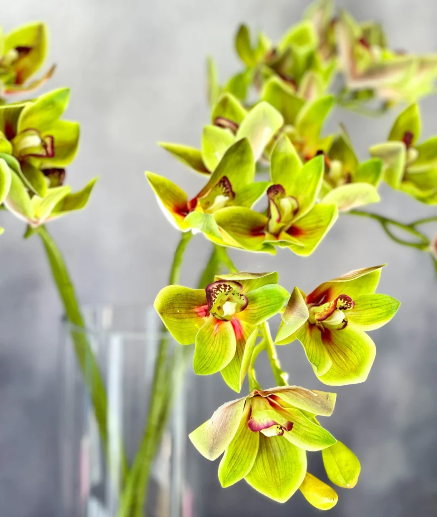 modern artificial flowers hero realistic stems