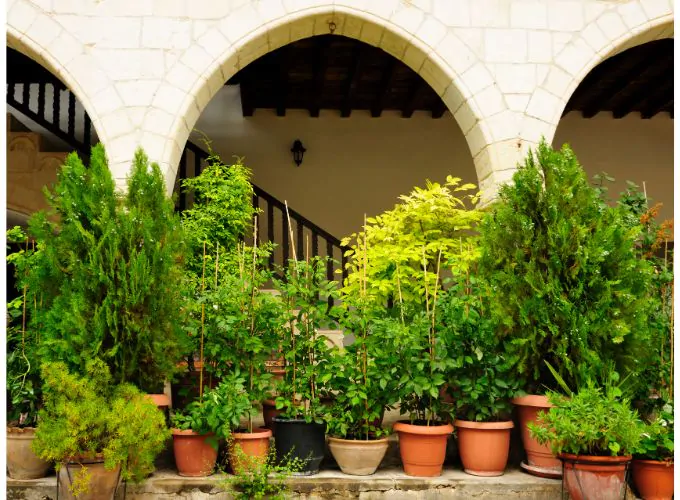 Warranty terms to demand for UV treated artificial plants warranty checklist for uv treated artificial plants