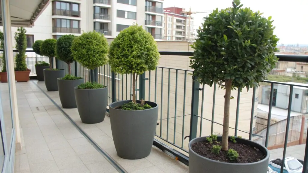 failed commercial outdoor plants at storefront