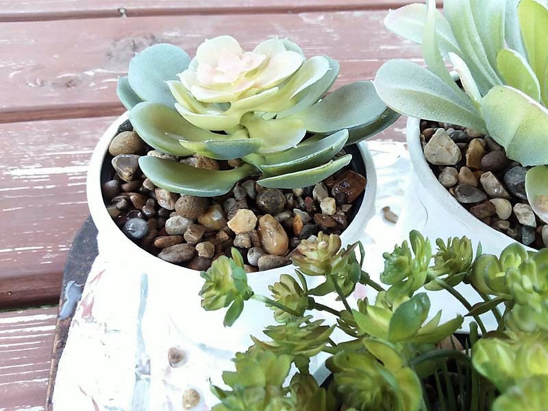 what to put in fake plant pot — field notes and shake test image