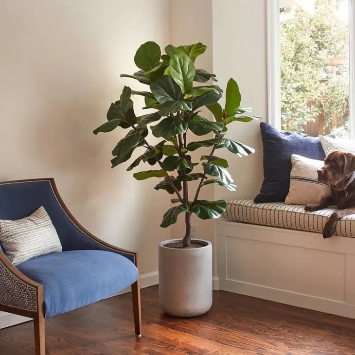best fake plants for home living room hero plant styling