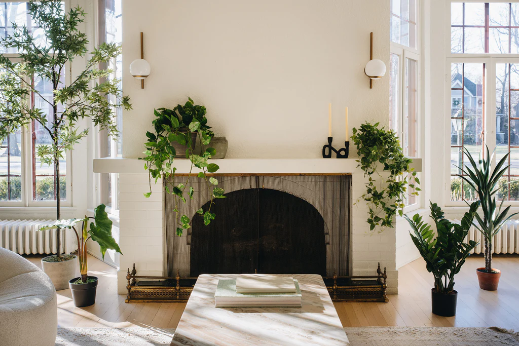 best fake plants for home rentals airbnbs show units