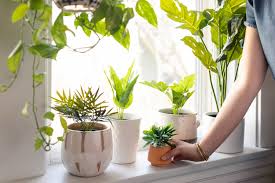 buying the best fake plants for home checklist for B2B sourcing