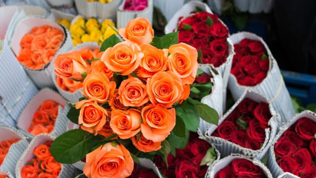 wholesale flower suppliers dubai color consistency across multiple UAE projects