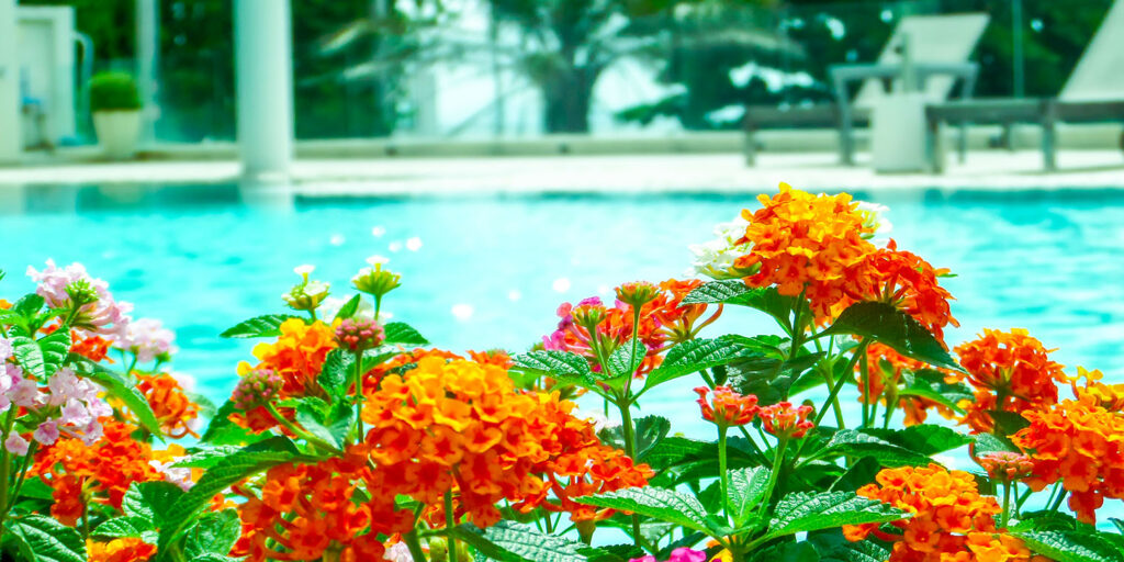 outdoor scenarios heat dust coastal humidity poolside artificial flowers uv protection