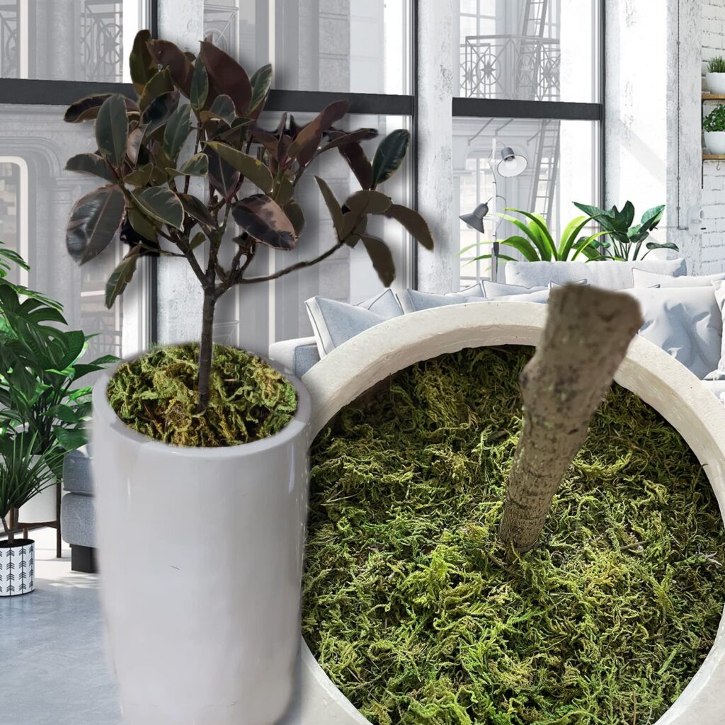 what to fill fake plant pots with moss bark stone to hide foam fast