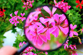 Fake signals silk flowers plastic shine close up