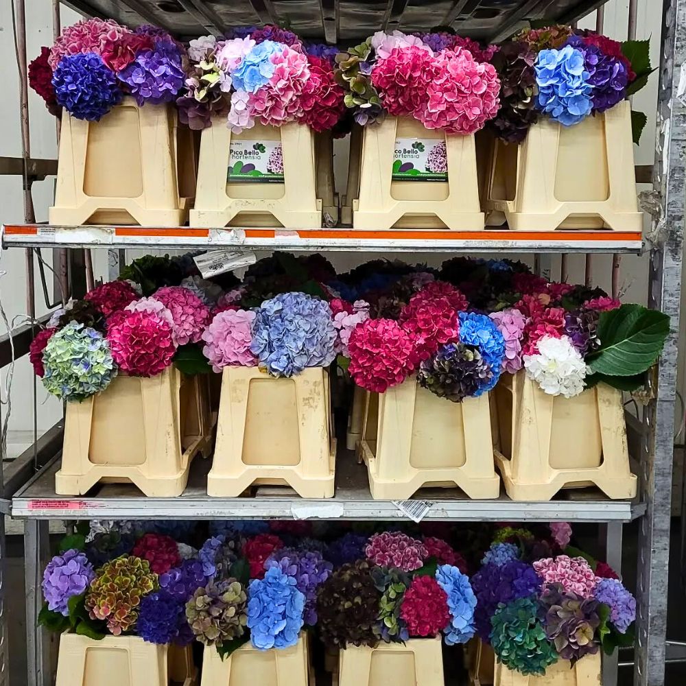 wholesale artificial flowers suppliers packaging standards prevent deformation in transit