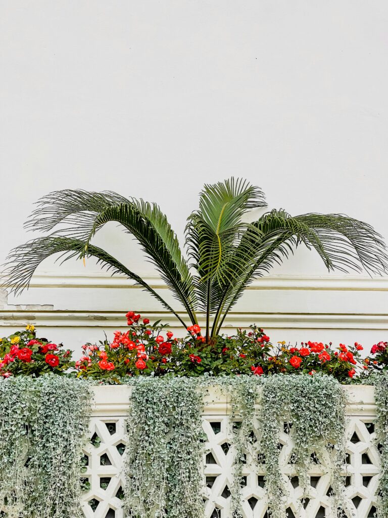 UV wind heat cleaning effects on Outdoor Artificial Plants Commercial use