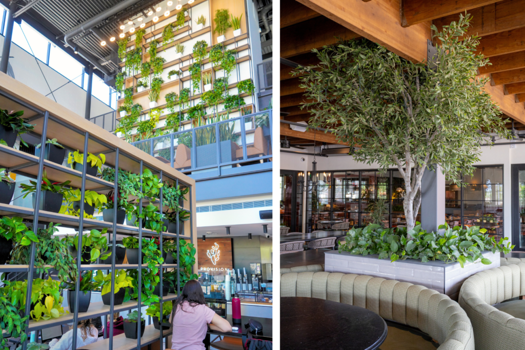 Balance Realism Safety Maintenance and Budget in Artificial Plants for Hotels how to balance realism safety maintenance and budget in artificial plants for hotels