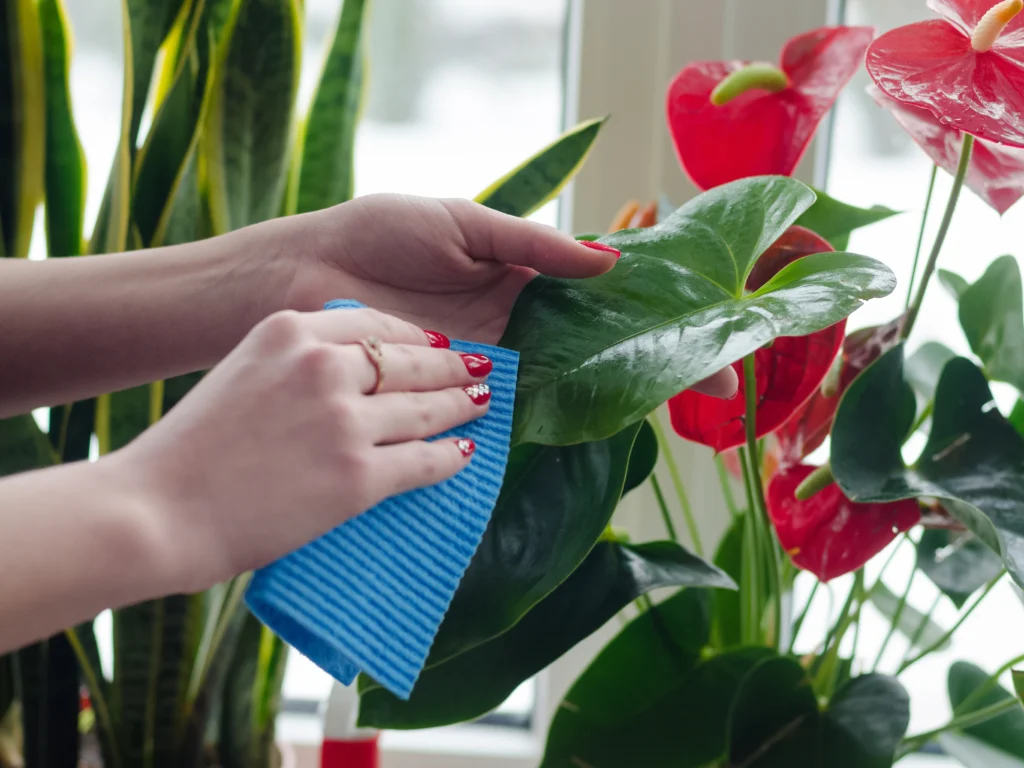 how to clean silk flowers from dust without damaging petals
